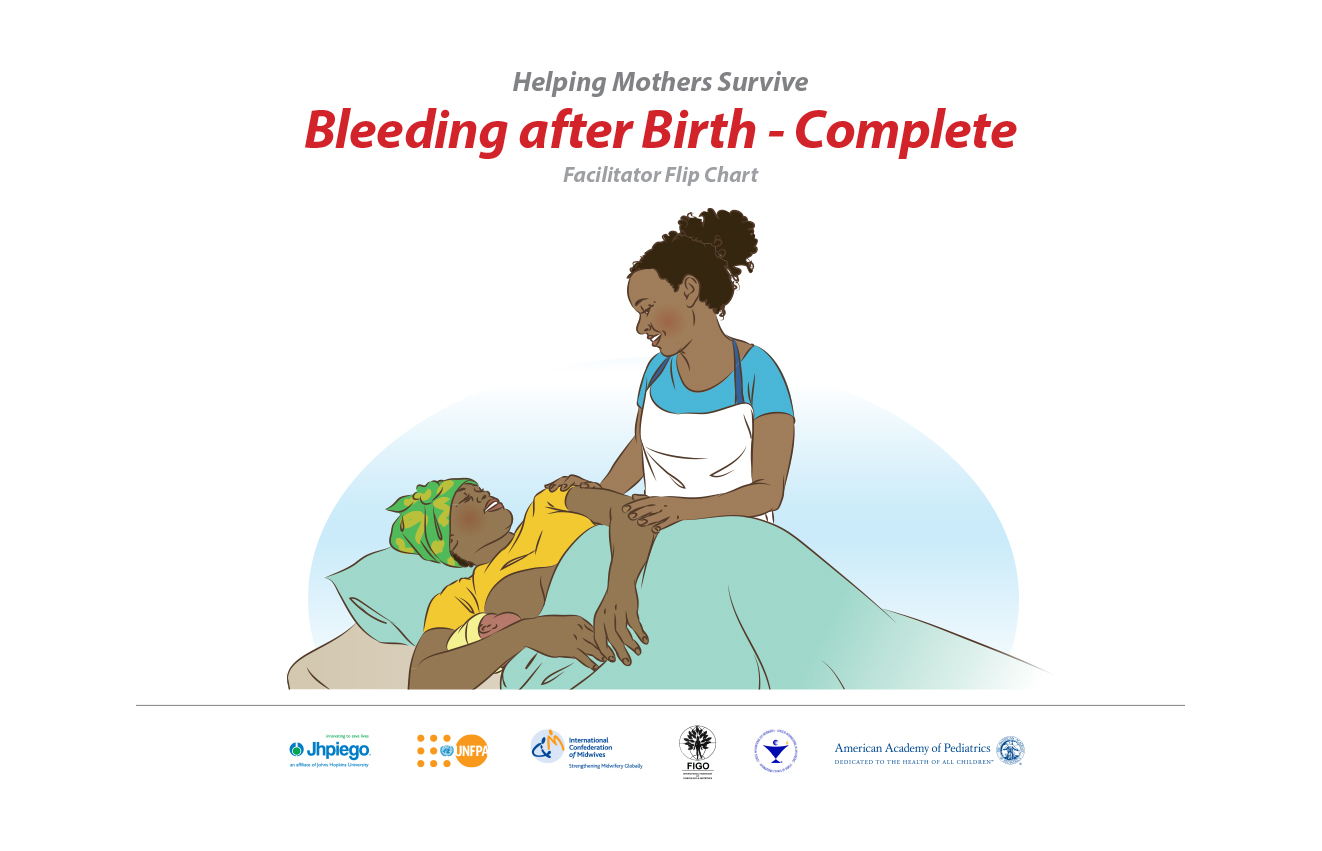 Bleeding After Birth Flip Chart (front cover)